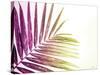 Rainbow Leaf-Donnie Quillen-Stretched Canvas