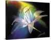 Rainbow Lily-Scott Peck-Stretched Canvas