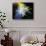 Rainbow Lily-Scott Peck-Stretched Canvas displayed on a wall