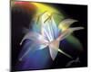 Rainbow Lily-Scott Peck-Mounted Art Print