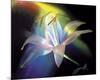 Rainbow Lily-Scott Peck-Mounted Art Print