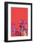 Rainbow Lobster on Red-Ania Zwara-Framed Photographic Print