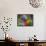 Rainbow Lorikeet, Australia-David Wall-Framed Stretched Canvas displayed on a wall