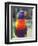 Rainbow Lorikeet, Australia-David Wall-Framed Photographic Print