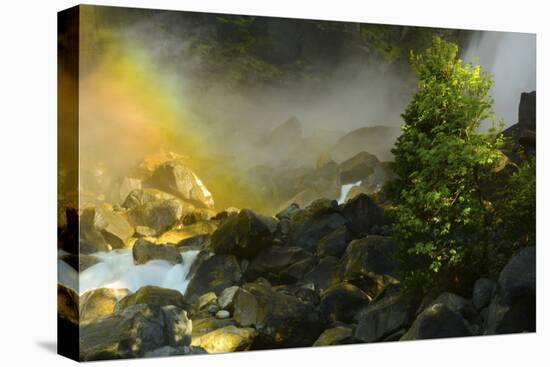 Rainbow, Lower Yosemite Falls, Yosemite National Park, California, USA-Michel Hersen-Stretched Canvas