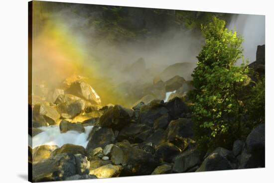 Rainbow, Lower Yosemite Falls, Yosemite National Park, California, USA-Michel Hersen-Stretched Canvas