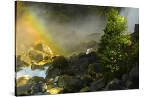 Rainbow, Lower Yosemite Falls, Yosemite National Park, California, USA-Michel Hersen-Stretched Canvas