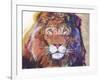 Rainbow Majesty-Graeme Stevenson-Framed Giclee Print