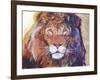 Rainbow Majesty-Graeme Stevenson-Framed Giclee Print