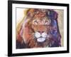 Rainbow Majesty-Graeme Stevenson-Framed Giclee Print