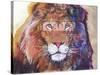 Rainbow Majesty-Graeme Stevenson-Stretched Canvas