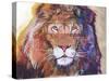 Rainbow Majesty-Graeme Stevenson-Stretched Canvas