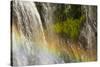 Rainbow, Narada Falls, Mount Rainier National Park, Washington, USA-Michel Hersen-Stretched Canvas