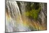 Rainbow, Narada Falls, Mount Rainier National Park, Washington, USA-Michel Hersen-Mounted Photographic Print