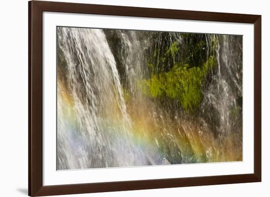 Rainbow, Narada Falls, Mount Rainier National Park, Washington, USA-Michel Hersen-Framed Photographic Print