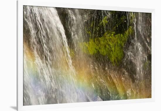 Rainbow, Narada Falls, Mount Rainier National Park, Washington, USA-Michel Hersen-Framed Photographic Print