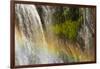 Rainbow, Narada Falls, Mount Rainier National Park, Washington, USA-Michel Hersen-Framed Photographic Print