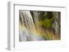 Rainbow, Narada Falls, Mount Rainier National Park, Washington, USA-Michel Hersen-Framed Photographic Print