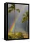 Rainbow near Lahaina-Jon Hicks-Framed Stretched Canvas