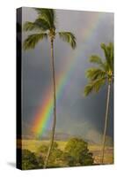 Rainbow near Lahaina-Jon Hicks-Stretched Canvas