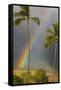 Rainbow near Lahaina-Jon Hicks-Framed Stretched Canvas