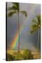 Rainbow near Lahaina-Jon Hicks-Stretched Canvas