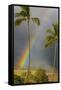 Rainbow near Lahaina-Jon Hicks-Framed Stretched Canvas