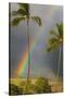 Rainbow near Lahaina-Jon Hicks-Stretched Canvas