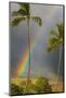Rainbow near Lahaina-Jon Hicks-Mounted Photographic Print