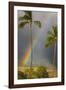 Rainbow near Lahaina-Jon Hicks-Framed Photographic Print