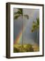 Rainbow near Lahaina-Jon Hicks-Framed Photographic Print