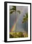 Rainbow near Lahaina-Jon Hicks-Framed Photographic Print