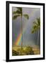 Rainbow near Lahaina-Jon Hicks-Framed Photographic Print