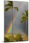 Rainbow near Lahaina-Jon Hicks-Mounted Photographic Print