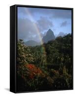 Rainbow near Petit Piton-Bob Krist-Framed Stretched Canvas