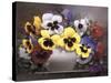 Rainbow of Pansies-Victor Santos-Stretched Canvas