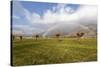 Rainbow on bare trees, Cosio Valtellino, Sondrio province, Valtellina, Lombardy, Italy, Europe-Roberto Moiola-Stretched Canvas