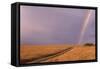 Rainbow on the Savanna-DLILLC-Framed Stretched Canvas