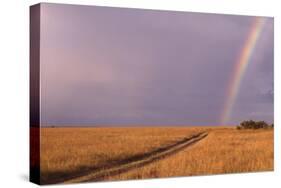 Rainbow on the Savanna-DLILLC-Stretched Canvas