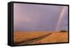 Rainbow on the Savanna-DLILLC-Framed Stretched Canvas