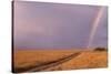 Rainbow on the Savanna-DLILLC-Stretched Canvas