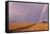 Rainbow on the Savanna-DLILLC-Framed Stretched Canvas