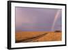 Rainbow on the Savanna-DLILLC-Framed Photographic Print