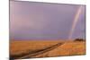 Rainbow on the Savanna-DLILLC-Mounted Photographic Print