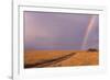 Rainbow on the Savanna-DLILLC-Framed Photographic Print