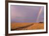 Rainbow on the Savanna-DLILLC-Framed Photographic Print