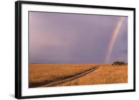 Rainbow on the Savanna-DLILLC-Framed Photographic Print