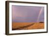 Rainbow on the Savanna-DLILLC-Framed Photographic Print