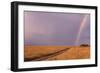 Rainbow on the Savanna-DLILLC-Framed Photographic Print