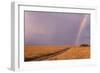 Rainbow on the Savanna-DLILLC-Framed Photographic Print